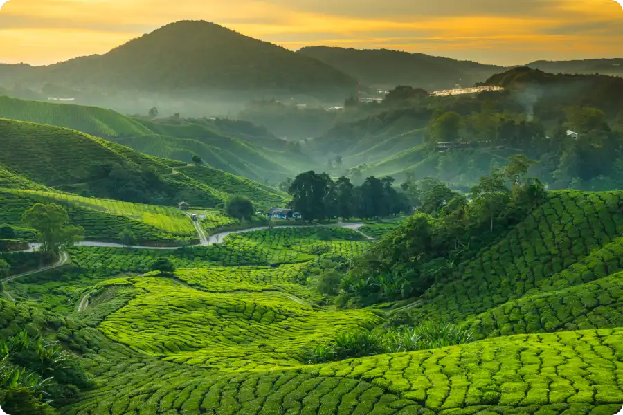 malay speech to text image